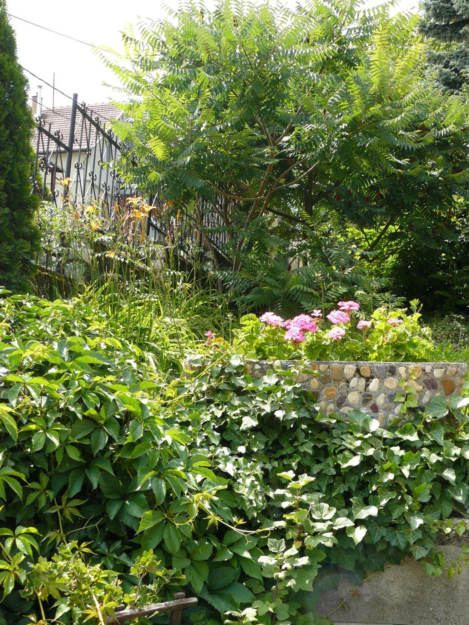 Hejo Apartman Miskolc Luaran gambar